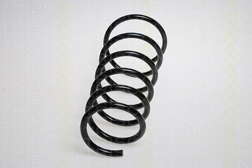 Suspension Spring (8750 6929)