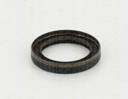 Shaft Seal, crankshaft (8550 11007)