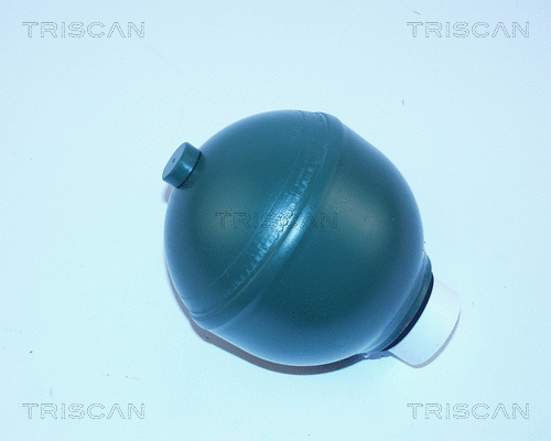 Pressure Accumulator, pneumatic suspension (8760 38204)