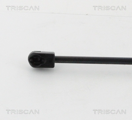 Gas Spring, boot/cargo area