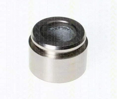 Piston, brake caliper (8170 234035)