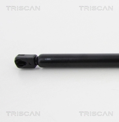 Gas Spring, boot/cargo area