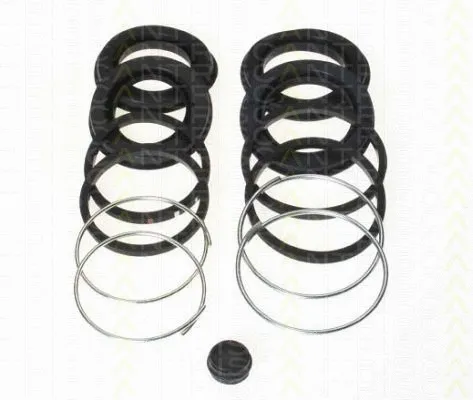 Repair Kit, brake caliper (8170 204212)