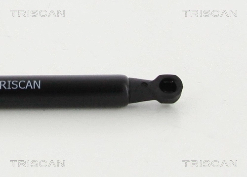 Gas Spring, boot/cargo area