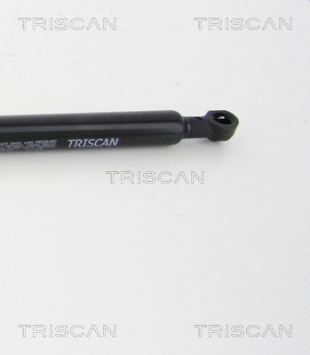 Gas Spring, boot/cargo area