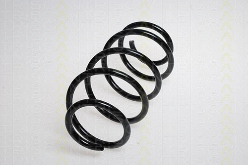 Suspension Spring (8750 29202)