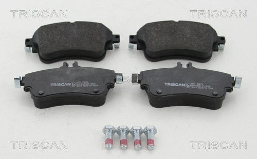 Brake Pad Set, disc brake (8110 23073)