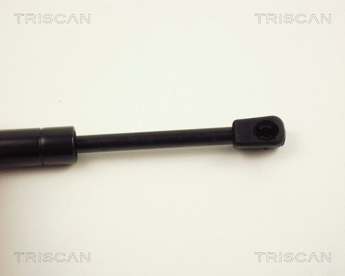 Gas Spring, bonnet