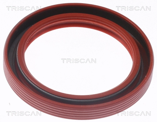 Shaft Seal, crankshaft (8550 10073)