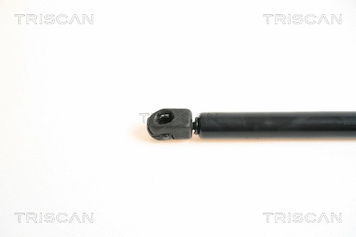 Gas Spring, boot/cargo area