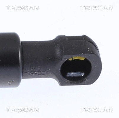 Gas Spring, boot/cargo area