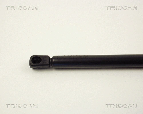 Gas Spring, boot/cargo area