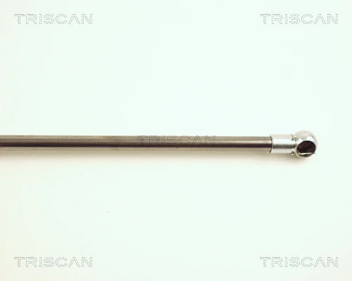 Gas Spring, boot/cargo area