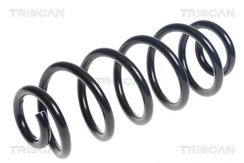 Suspension Spring (8750 29469)