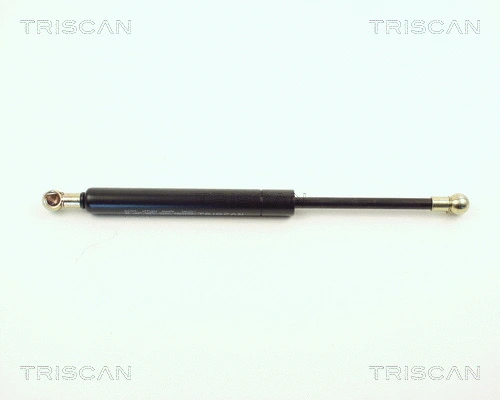 Gas Spring, boot/cargo area (8710 1009)