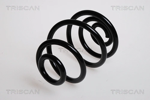 Suspension Spring (8750 24235)