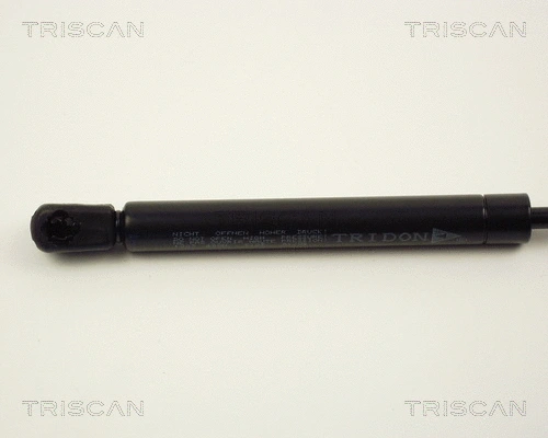 Gas Spring, boot/cargo area