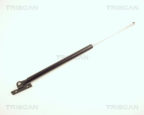 Gas Spring, bonnet (8710 24103)