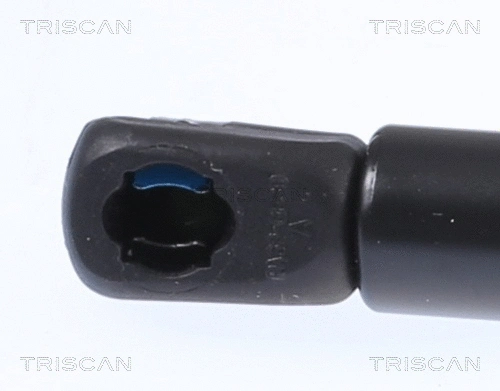 Gas Spring, boot/cargo area