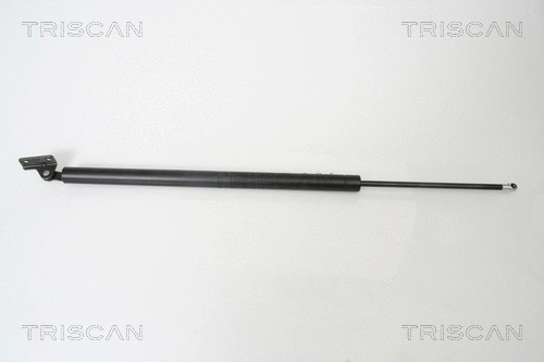 Gas Spring, boot/cargo area (8710 43219)