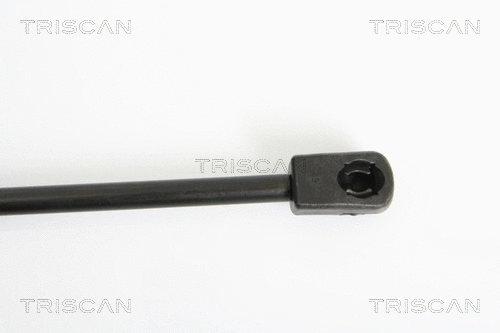Gas Spring, boot/cargo area