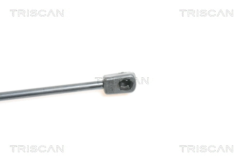 Gas Spring, boot/cargo area