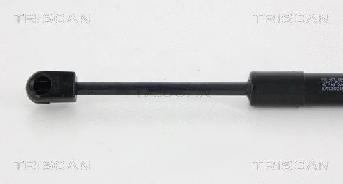 Gas Spring, boot/cargo area