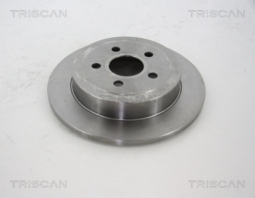 Brake Disc (8120 101070)