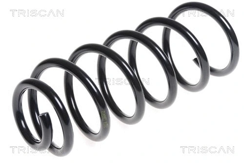 Suspension Spring (8750 28199)