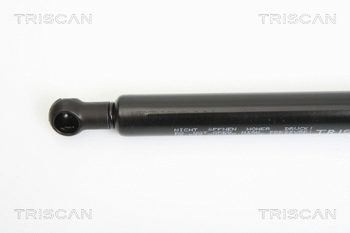 Gas Spring, boot/cargo area