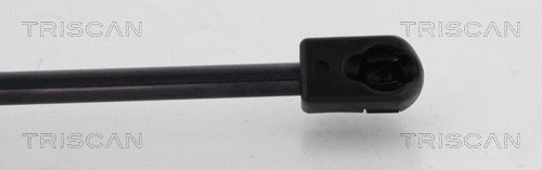 Gas Spring, boot/cargo area
