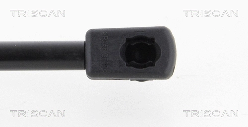 Gas Spring, boot/cargo area