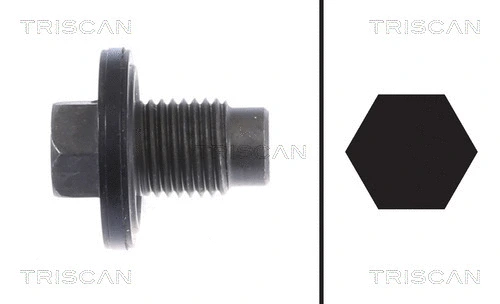 Screw Plug, oil sump (9500 1021)