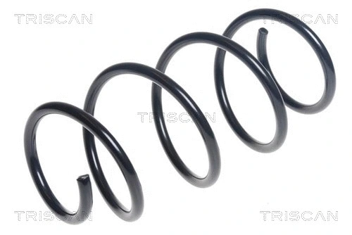 Suspension Spring (8750 29407)