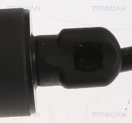 Gas Spring, boot/cargo area