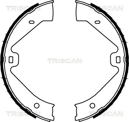 Brake Shoe Set, parking brake (8100 29002)