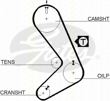 Timing Belt (8645 5131)