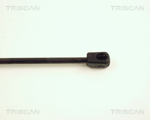 Gas Spring, boot/cargo area