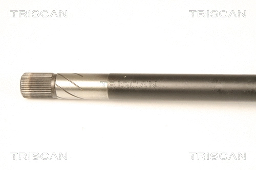Drive Shaft