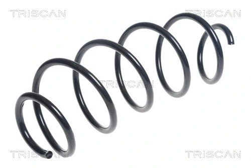 Suspension Spring (8750 28267)