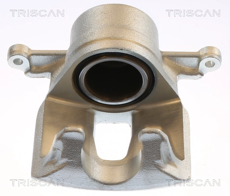 Brake Caliper (8175 13113)