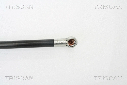 Gas Spring, boot/cargo area