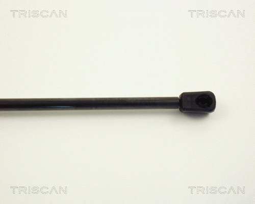 Gas Spring, boot/cargo area