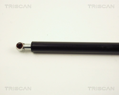 Gas Spring, boot/cargo area