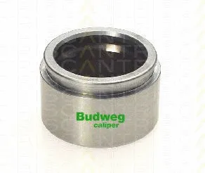 Piston, brake caliper (8170 235119)