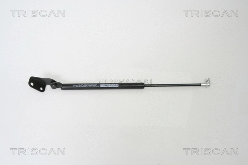 Gas Spring, boot/cargo area (8710 69217)