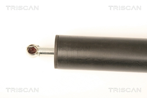 Gas Spring, boot/cargo area