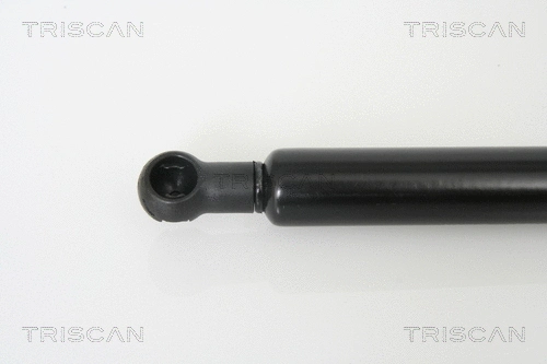 Gas Spring, boot/cargo area