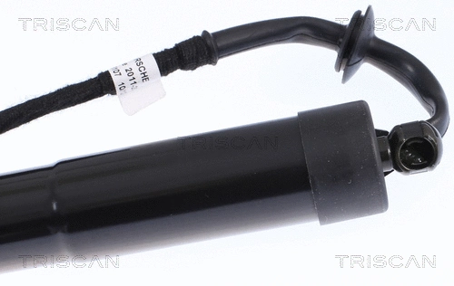 Gas Spring, boot/cargo area