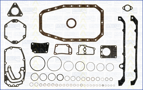 Gasket Kit, crankcase (595-7205)
